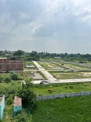 Plot Area in  Plot at Sector 84 – for Sale