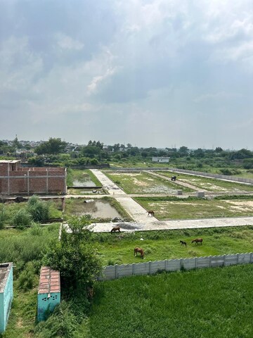 Plot Area in  Plot at Sector 84 – for Sale