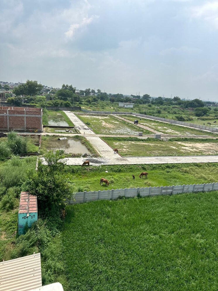 Garden, sector 84  173 Sq.Yd. Plot In Sector 84 Faridabad 9465779