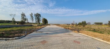  Plot For Sale in Sector 75