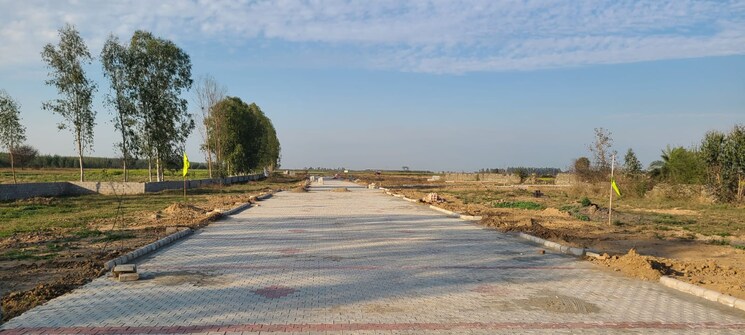undefined, sector 75  220 Sq.Yd. Plot In Sector 75 Faridabad 9465817