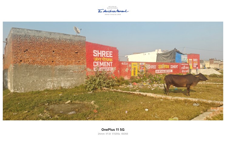 Exterior View, faridabad south  100 Sq.Yd. Plot In Faridabad South Faridabad 9466001