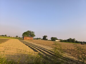 Plot Area in  Land at Pataudi – for Sale