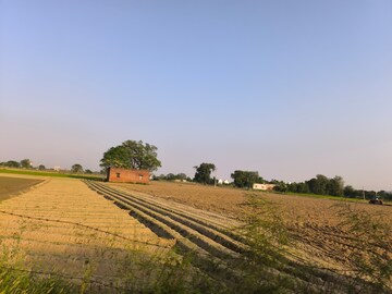 Plot Area in  Land at Pataudi – for Sale