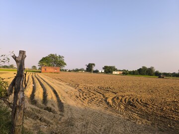 Plot Area in  Land at Pataudi – for Sale