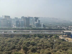 Plot Area in 3 BHK Apartment at Paramount Floraville, Sector 137 – for Rent