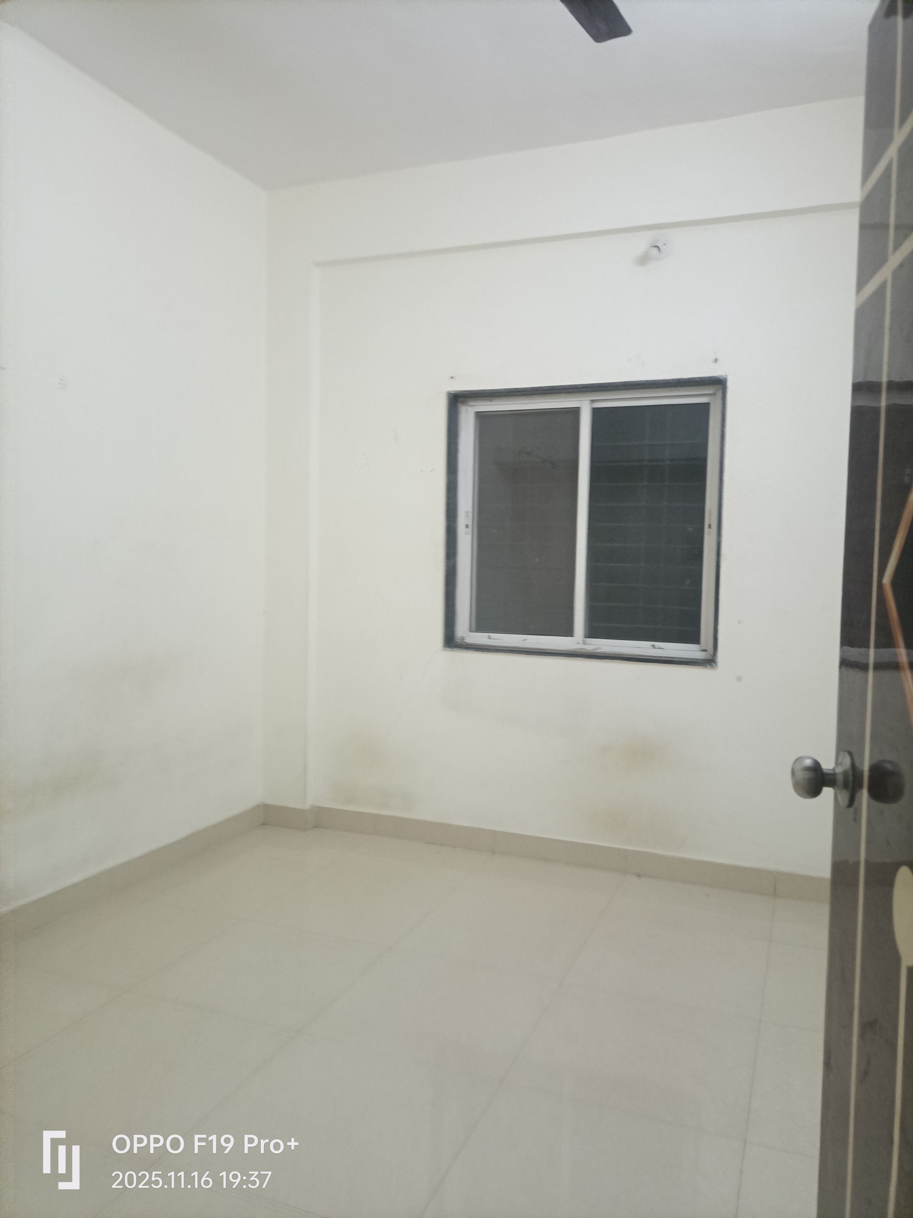 1 BHK + Study Room Villa For Rent in Karve Nagar