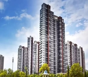 1 BHK Apartment For Sale in Today Global Sai Vrindavan