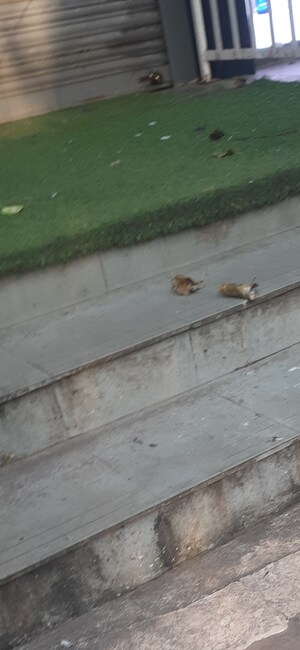  Shop For Rent in Bandra West