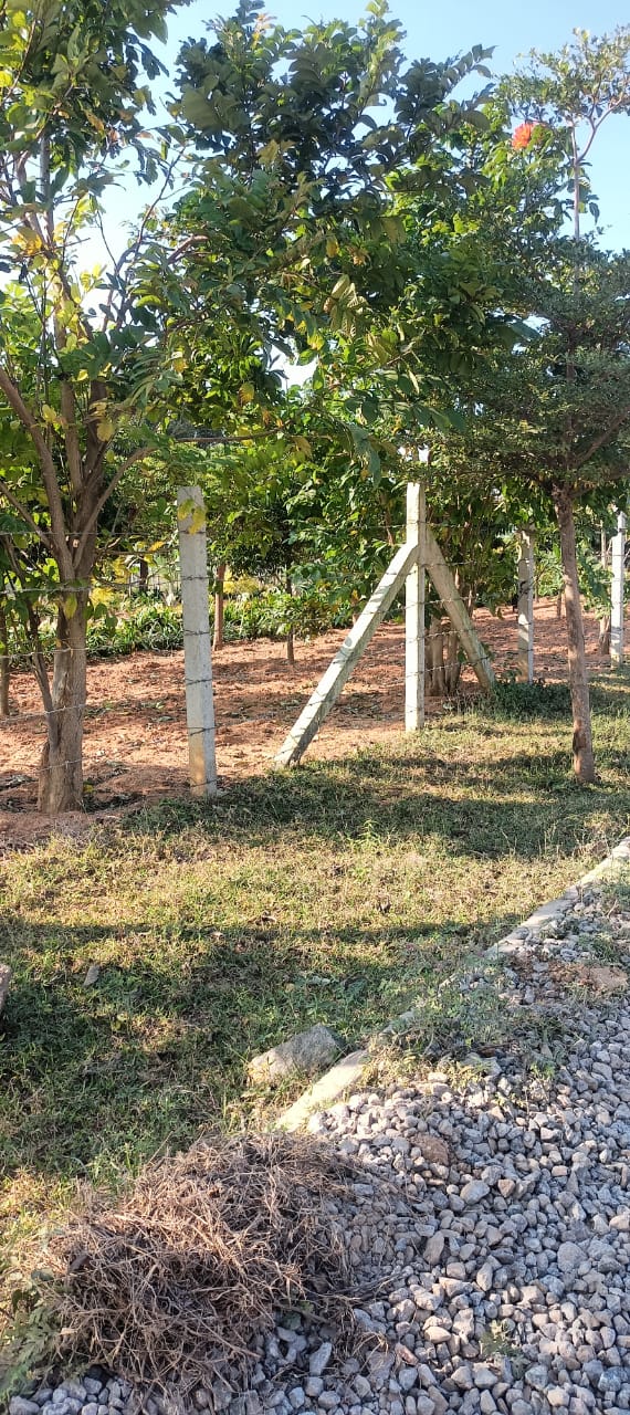 Plot For Sale in Fortune Butterfly City