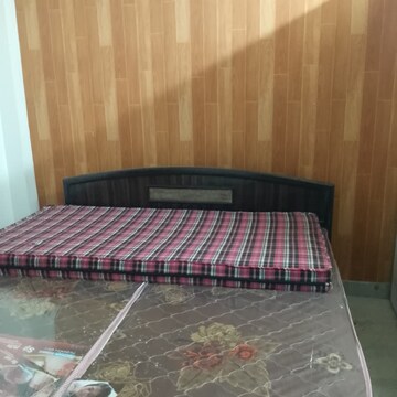 2.5 BHK Builder Floor For Rent in Shastri Nagar