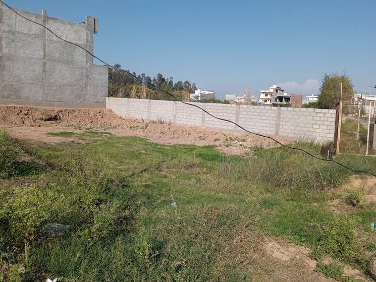 undefined, sector 110  250 Sq.Yd. Plot In Sector 110 Mohali 9467176