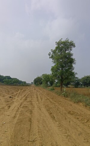 Plot Area in  Land at Sohna – for Sale