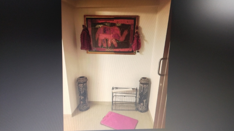 3 BHK Apartment For Rent in Park Express