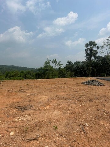 Plot Area in  Plot at Ottapalam – for Sale