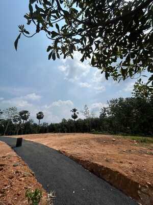  Plot For Sale in Ottapalam