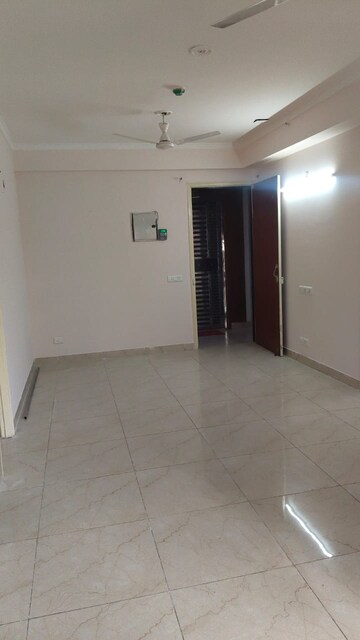 2 BHK Apartment For Rent in Amrapali Golf Homes, Sector 4 Greater Noida