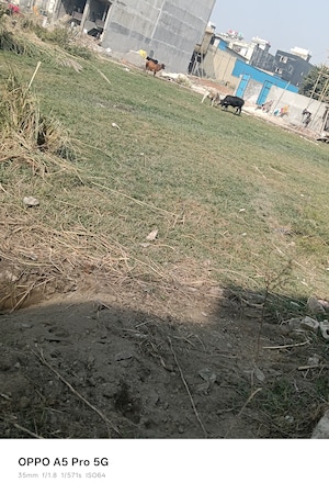 Plot Area in  Plot at Kanchan Vihar, Dlf Ankur Vihar – for Sale