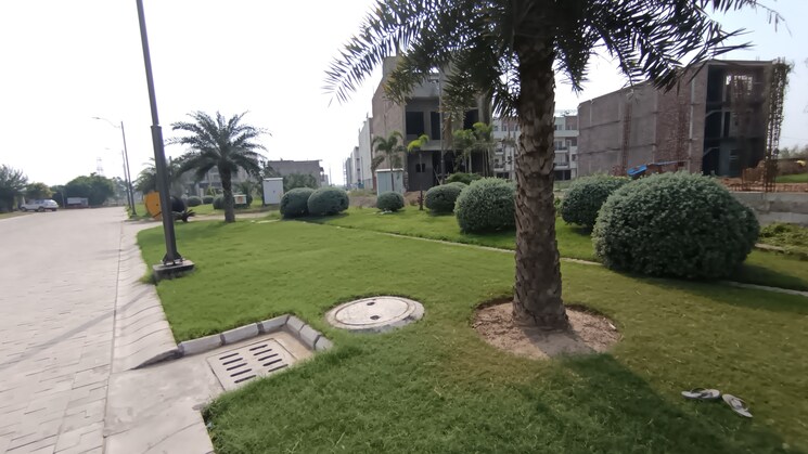 Garden, hlp-palmillas  133 Sq.Yd. Plot In Vip Road Zirakpur 9467946