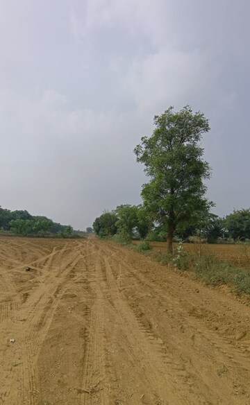 Plot Area in  Land at Sohna – for Sale