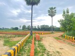 800 Sq.Yd. Plot in Ss Enclave 