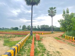 Plot For Sale in Ss Enclave 