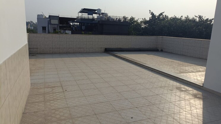 Terrace, green park extension 4 Bedroom 350 Sq.Yd. Builder Floor In Green Park Extension Delhi 9468190