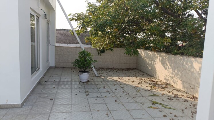 Terrace, green park extension 4 Bedroom 350 Sq.Yd. Builder Floor In Green Park Extension Delhi 9468190