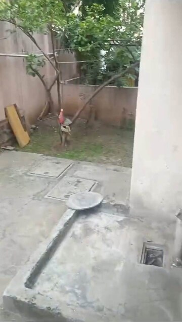 Balcony in 2 BHK Villa at Suyash Shrusti CHS, Fursungi – for Sale