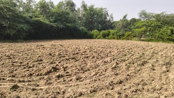 Plot Area in  Plot at Raebareli Road – for Sale