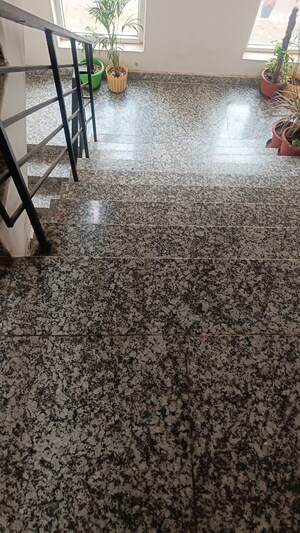 Staircase in 3 BHK Builder Floor at Amolik Residency, Sector 86 – for Rent