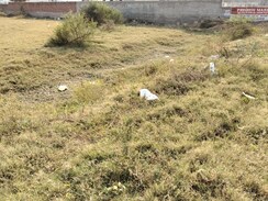 Plot For Sale in It City 
