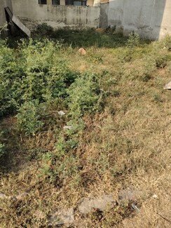 Plot For Sale in It City 