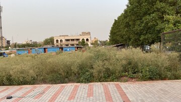  Plot For Sale in Sector 84