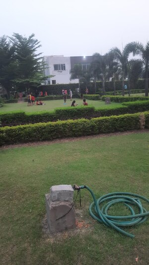 3 BHK Apartment – Garden View at Motiaz Royal Citi, Ambala Highway - for Rent