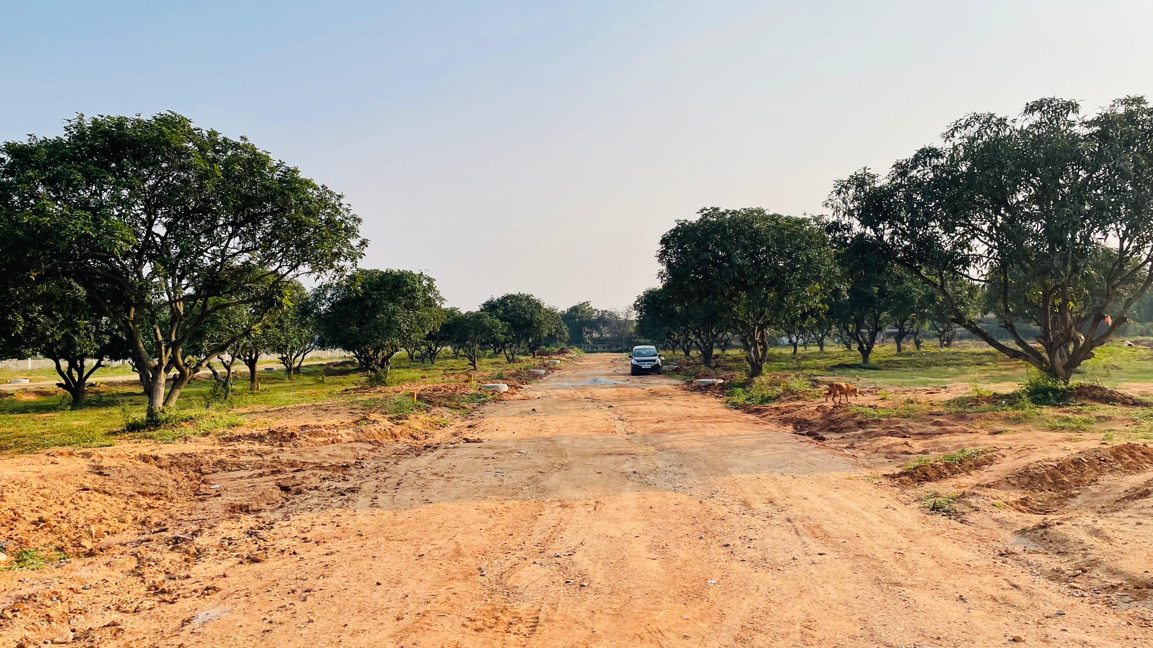 Plot For Sale in Sunrise Amodha