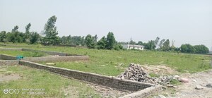 Plot Area in  Plot at Sector 144 – for Sale