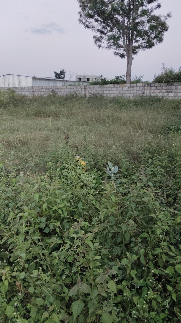 undefined, chandapura  1200 Sq.Ft. Plot In Chandapura Bangalore 9471565