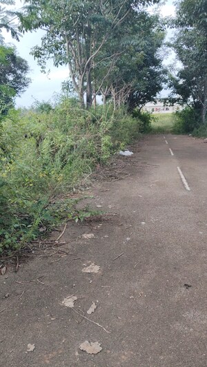 Plot Area in  Plot at Chandapura – for Sale