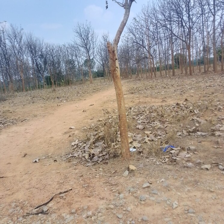 Exterior View, chandapura  1200 Sq.Ft. Plot In Chandapura Bangalore 9471687