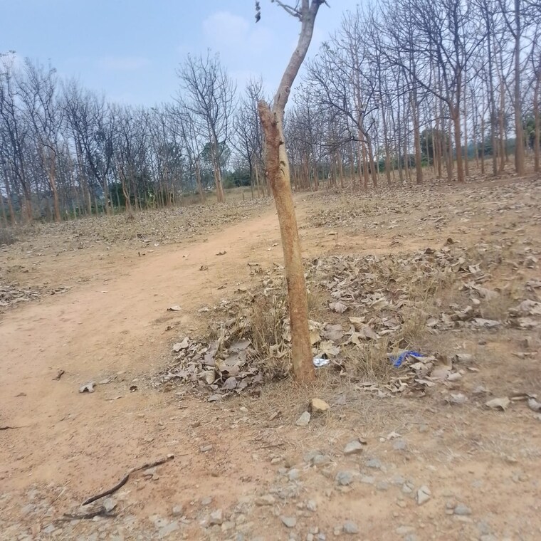 Exterior View, chandapura  1200 Sq.Ft. Plot In Chandapura Bangalore 9471687