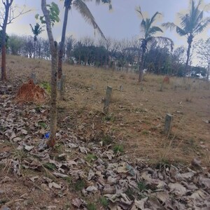 Plot Area in  Plot at Chandapura – for Sale
