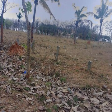 Plot Area in  Plot at Chandapura – for Sale