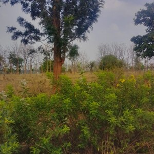 Plot Area in  Plot at Chandapura – for Sale
