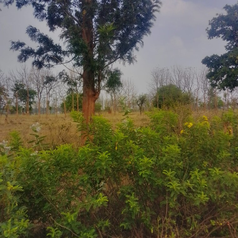 undefined, chandapura  1200 Sq.Ft. Plot In Chandapura Bangalore 9471687