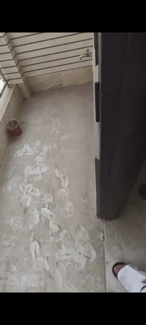 Balcony in 3 BHK Builder Floor at Chattarpur – for Rent