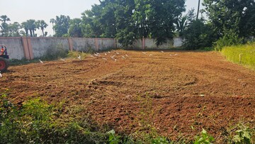  Plot For Sale in Bhogapuram