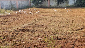 Plot Area in  Plot at Bhogapuram – for Sale