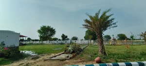  Plot – Garden View at Riyasat Vatika Residency, Sanganer - for Sale