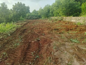  Plot For Sale in Mangaon